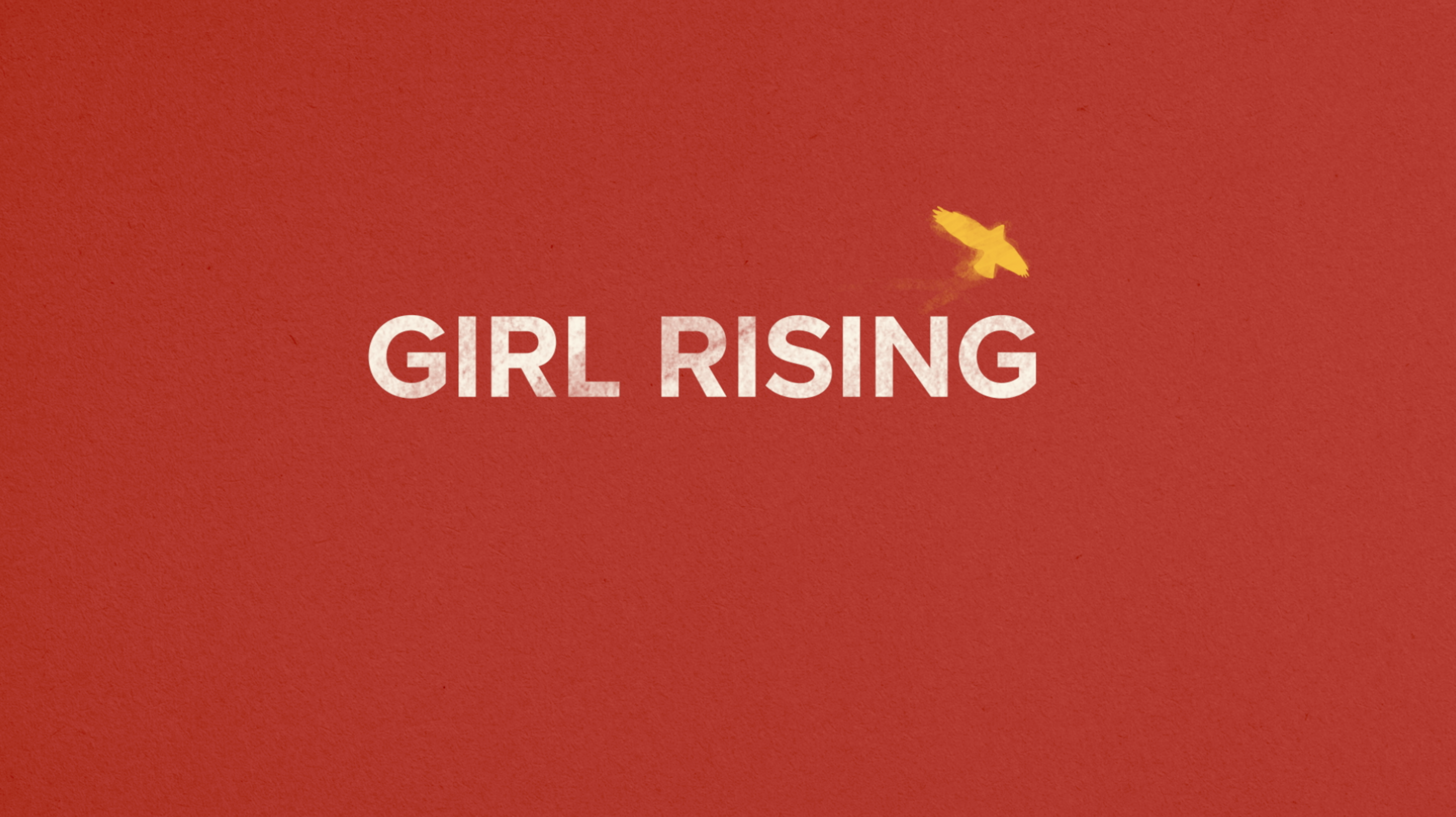 DOCUMENTARY: Girl Rising - Non-Profit
